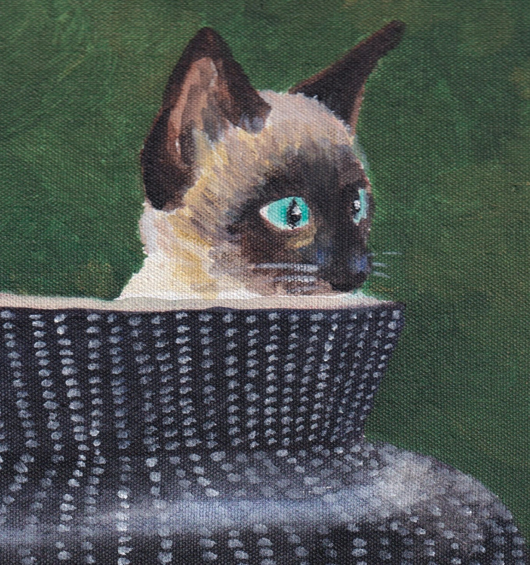 “242-Cat in pot”